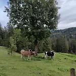 Voegelhof * Doren
