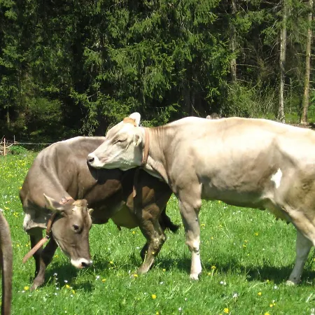 Voegelhof Appartement