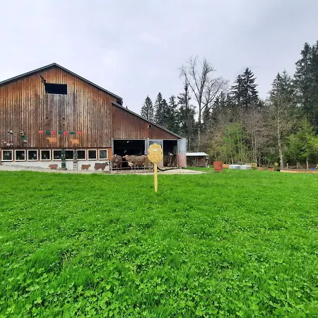 Apartamento Voegelhof *