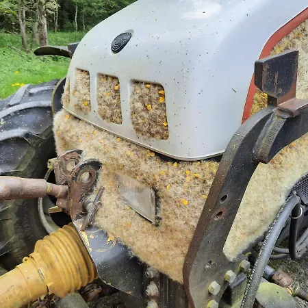 Voegelhof Apartamento