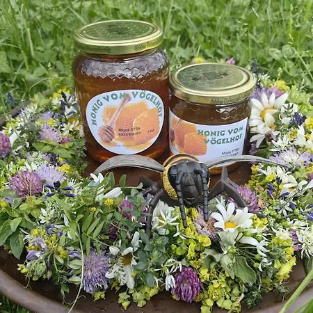 Voegelhof Appartement *