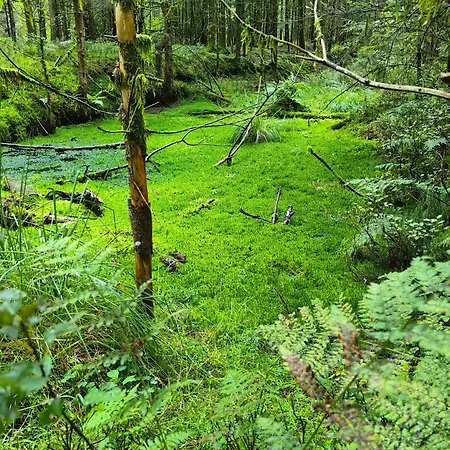 Appartement Voegelhof *