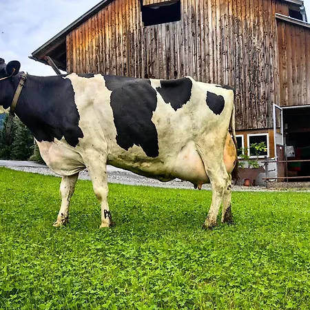 Appartement Voegelhof *