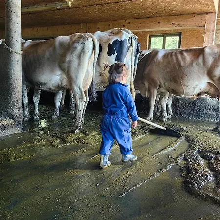 Appartement Voegelhof Doren