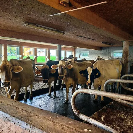 Apartamento Voegelhof *