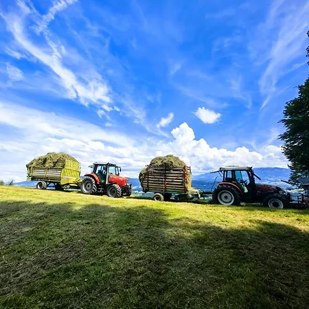 Apartment Voegelhof Doren