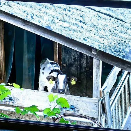 Voegelhof Apartamento Doren