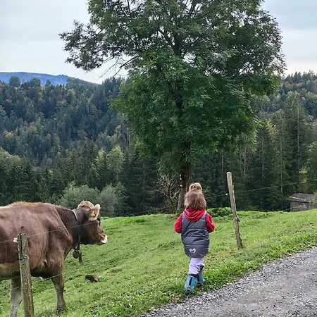 Appartement Voegelhof *
