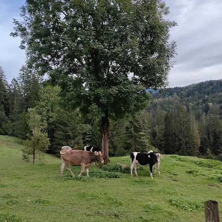 Voegelhof * Doren