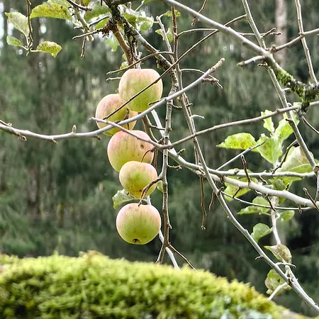 Appartement Voegelhof