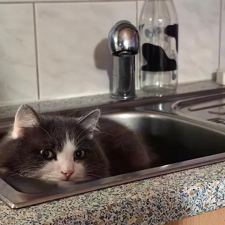 Appartement Voegelhof *