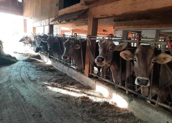 アパート Voegelhof